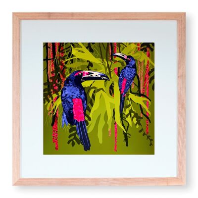 Stampa artistica 'Tucani nella giungla' 30 x 30 cm