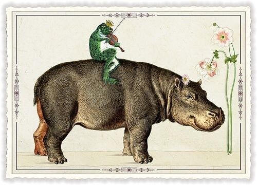 Hippo et grenouille (SKU: PK995)