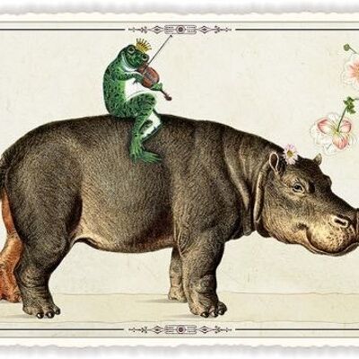Hippopotame et grenouille (SKU: PK995)