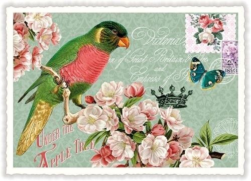 Pappagallo (SKU: PK985)