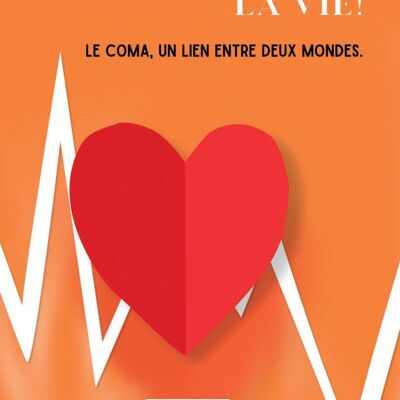 Le coma, un lien entre deux mondes - Brigitte Couderc Jouzeau