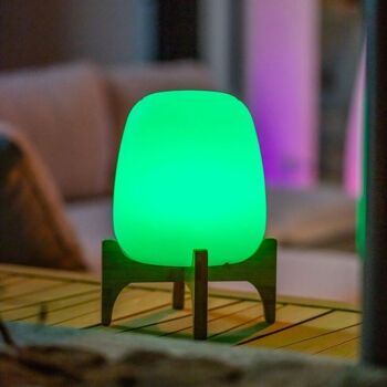 Lampe de table sans fil LED multicolore  PALMY H26cm 1