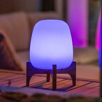 Lampe de table sans fil LED multicolore  PALMY H26cm 3