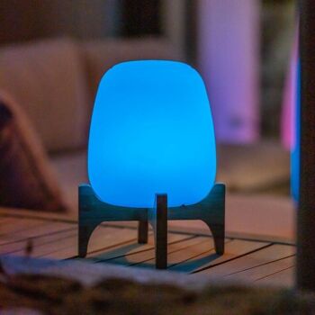 Lampe de table sans fil LED multicolore  PALMY H26cm 4