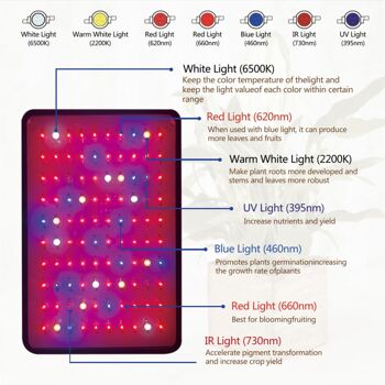 Lampe de culture 1000 watts - spectre complet - 31 x 21 cm 11