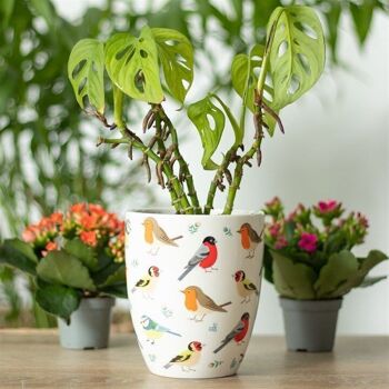 Pot de fleurs en céramique British Garden Birds 4