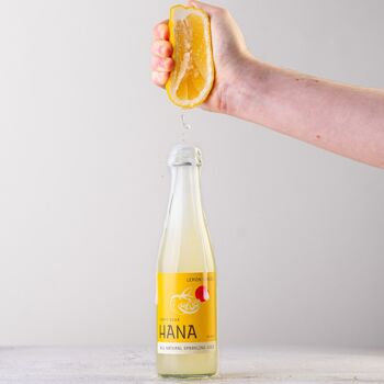 Hana Craft Soda - Citron & Yuzu Bio 2