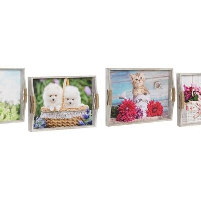 TRAY SET 2 MDF 40X30X6 KITTENS 2 ASSORTED. BD201533