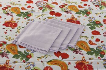 NAPPE SET 5 COTON 150X150X0,5 MULTICOLORE LC179876 7