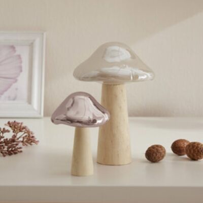 Mushroom bundle