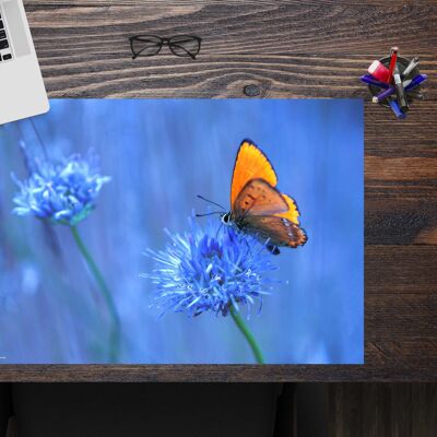 Almohadilla de escritorio de vinilo premium para niños y adultos - Mariposa naranja - 60 x 40 cm (sin BPA)