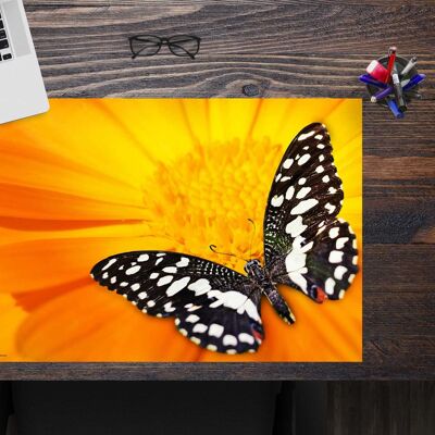 Premium Vinyl Desk Pad for Kids and Adults - Black and White Butterfly - 60 x 40 cm (BPA Free)