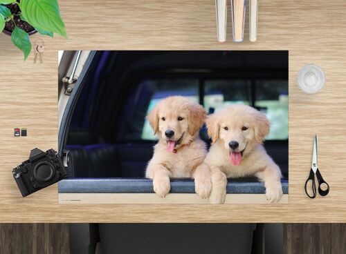 Schreibunterlage aus premium Vinyl für Kinder und Erwachsene – Golden Retriever Welpen – 60 x 40 cm (BPA-frei)