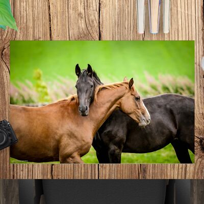 Almohadilla de escritorio de vinilo premium para niños y adultos - Best Horse Friends - 60 x 40 cm (sin BPA)