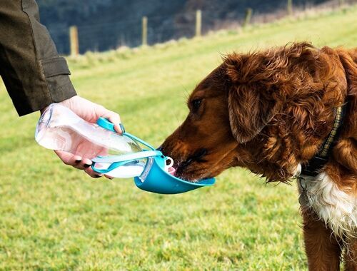 Henry Wag Pet Water Bottle With Leaf Bowl