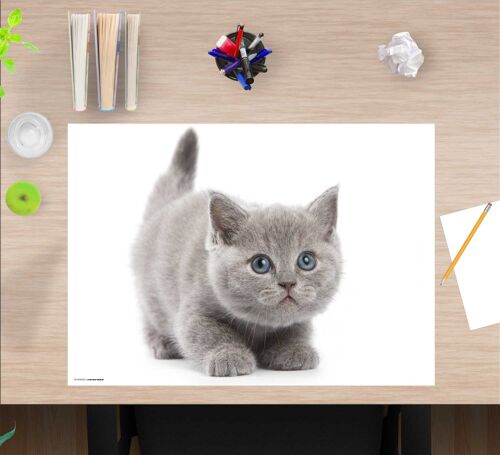 Schreibunterlage aus premium Vinyl für Kinder und Erwachsene – Süße graue Katze – 60 x 40 cm (BPA-frei)