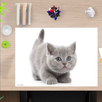 Sottomano da scrivania in vinile di alta qualità per bambini e adulti - Simpatico gatto grigio - 60 x 40 cm (senza BPA)