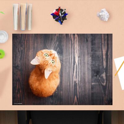 Premium Vinyl Desk Pad for Kids and Adults - Orange Cat - 60 x 40 cm (BPA Free)