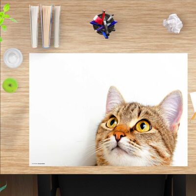 Alfombrilla de escritorio de vinilo premium para niños y adultos - Ojo de gato - 60 x 40 cm (sin BPA)