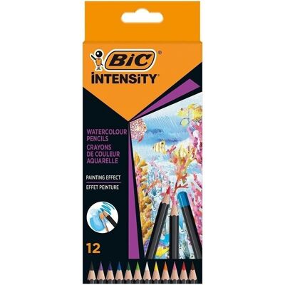Estuche 12 lápices colores BIC Intensity Acuarelable