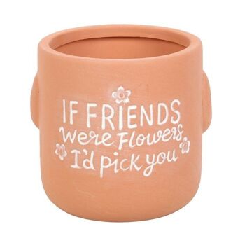 Si les amis étaient des fleurs assis Plant Pot Pal 2