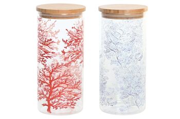 POT BOROSILICATE 10X10X22 1400ML, CORAIL 2 ASSORTIMENTS. PC204273 1