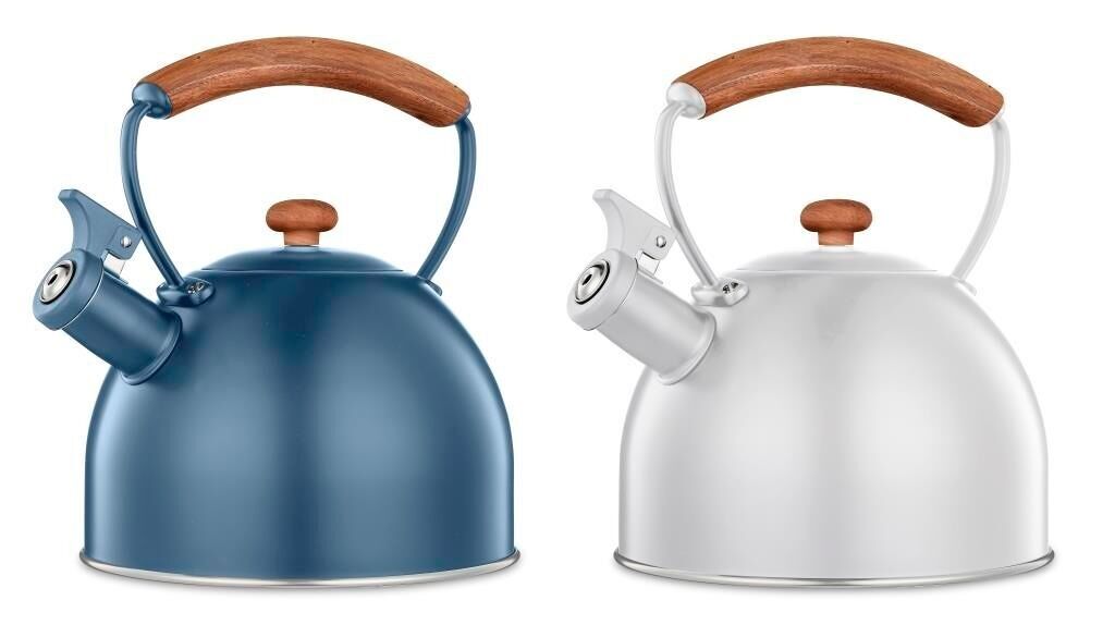 BOUILLOIRE EN ACIER INOXYDABLE CAOUTCHOUC 22X19X20,5 2500 2 ASSORTIMENTS. PC205327