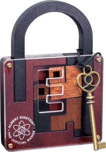 PROFESSOR PUZZLE Casse-tête LOCK EINSTEIN N6 2