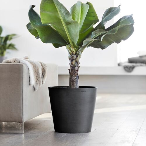 Pot Conique Anthracite Ø30 | Amsterdam ECOPOTS (Réserve d'eau incluse)