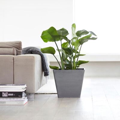 Pot Cube Gris L20 | Rotterdam ECOPOTS