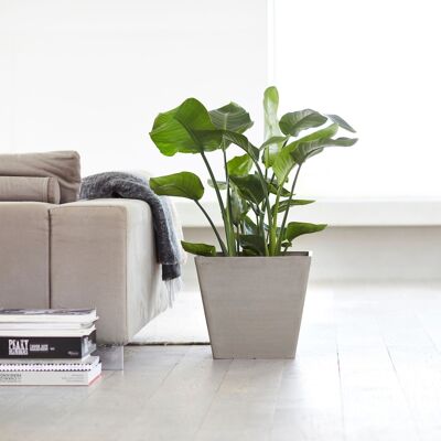 Pot Cube Taupe L30 | Rotterdam ECOPOTS