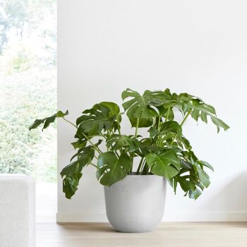 Pot Egg Blanc Ø25 | Oslo ECOPOTS (Réserve d'eau incluse) 1