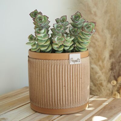 Box 8 Pot zéro-déchet | DUNUM (Ø15,5cm)