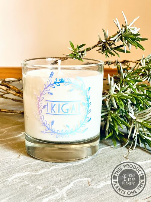 IKIGAI Signature: Cypress, Verbena & Ylang Ylang Soy Wax Candles and Melts