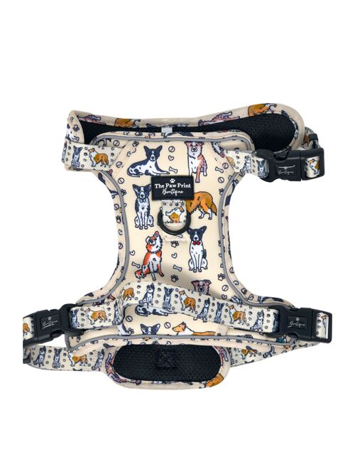 The Collie 'Big Dawgs' Harness