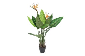 PLANTE PVC 80X80X120 STRELITZIA JA178787 1