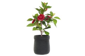 PLANTE PVC EVA 23X18X37 BOULE DE ROSE ROUGE JA187736 1