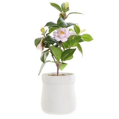 PLANTA PVC EVA 23X18X38 ROSAL ROSA PALO JA187737