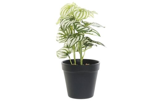 PLANTA PVC PLASTICO 13X13X27 VERDE JA187740