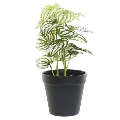 PLANTE PVC PLASTIQUE 13X13X27 VERT JA187740