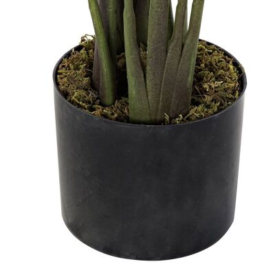 PLANT PE 50X50X160 AVE OF PARADISE GREEN JA192390