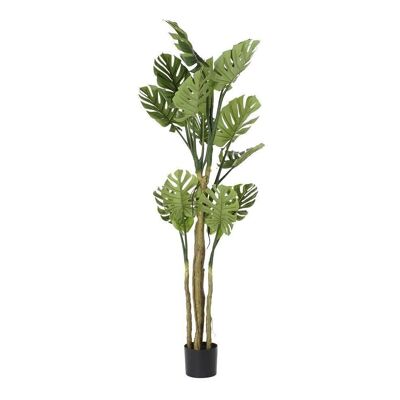 ARBRE POLYESTER PP 75X75X180 VERT MONSTERA JA192595