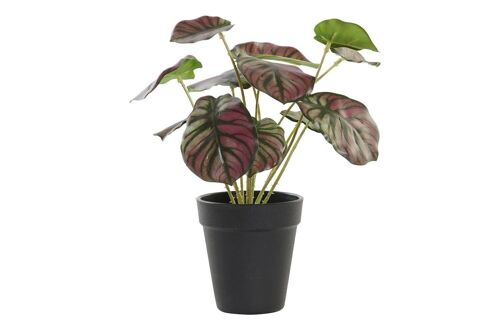 PLANTA PE 10X10X27 VERDE JA193853