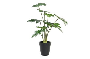 PLANTE PE 20X20X40 VERT JA193857 1