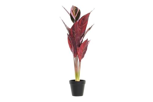 PLANTA PE 25X25X67 ROSA JA193861