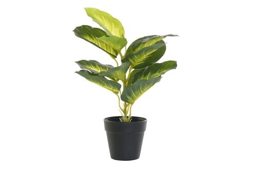 PLANTA PVC PP 25X25X30 DIEFEMBAQUIA VERDE JA193865