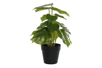 PLANTE PVC PP 20X20X30 VERT PHILODENDRON JA193866 1