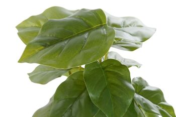 PLANTE PVC PP 20X20X30 VERT PHILODENDRON JA193866 3