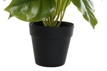 PLANTE PVC PP 20X20X30 VERT PHILODENDRON JA193866 4