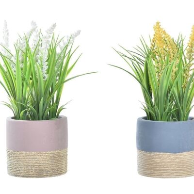 PLANT POLYESTER PE 9X9X21 2 ASSORTED. JA194210